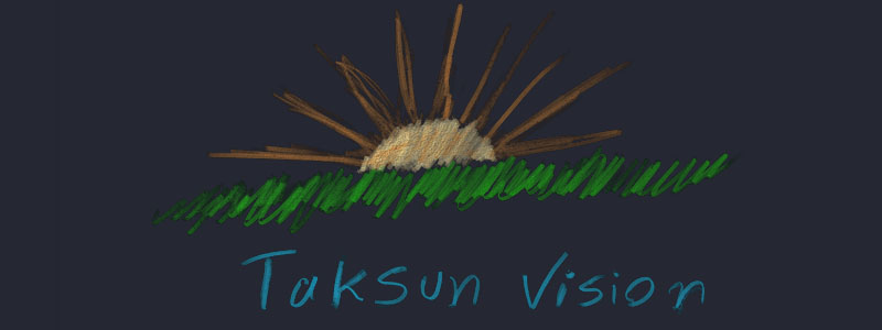 Taksun Vision